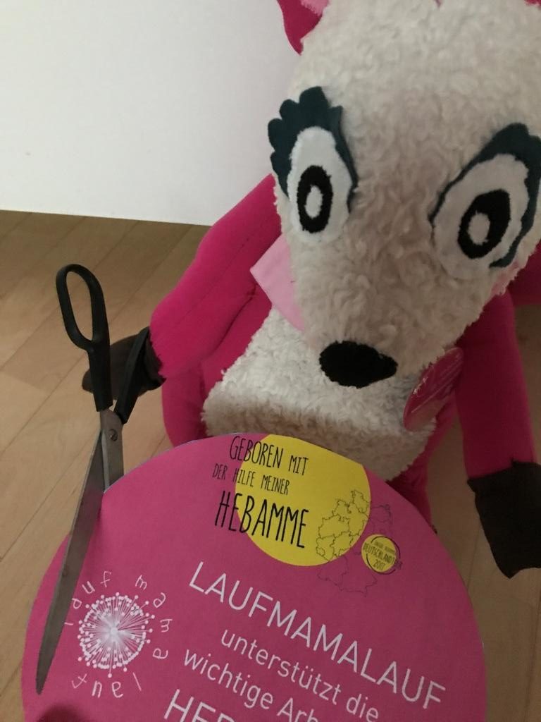Polly Pink mit Plakat von der Hebammen Deutschland-Tour