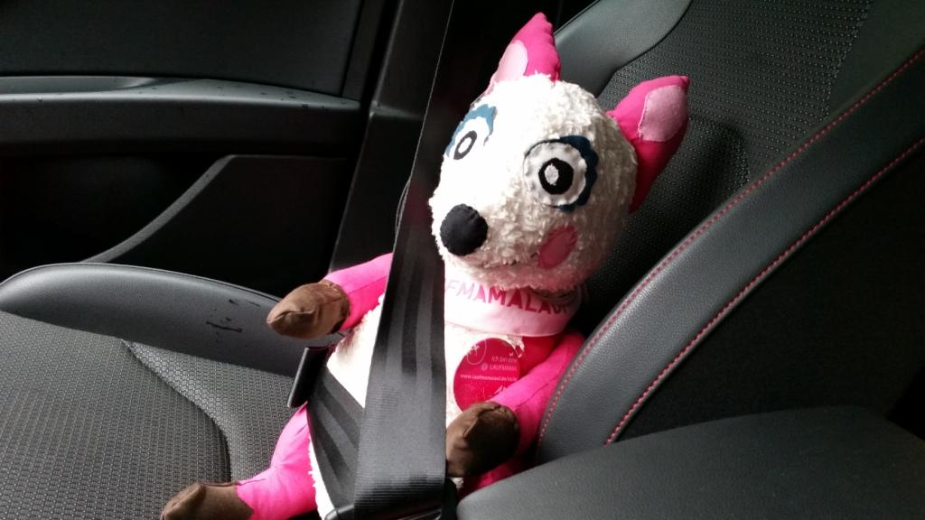 Polly Pink im Auto