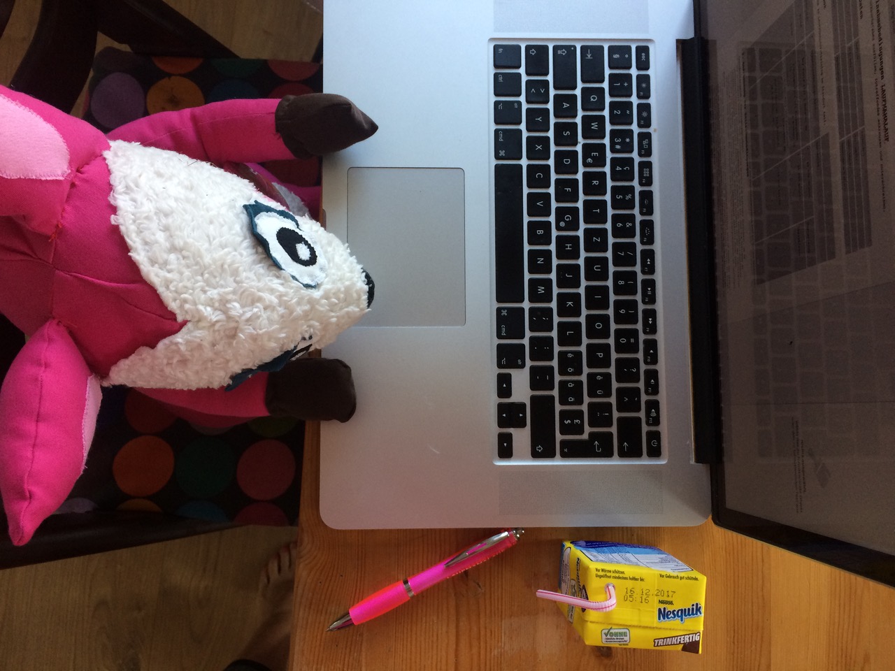 Polly Pink arbeitet am PC
